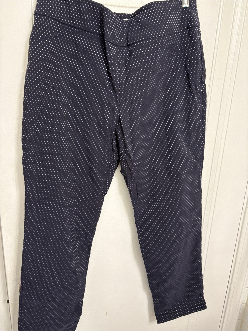 Charter Club Navy Ankle Pants